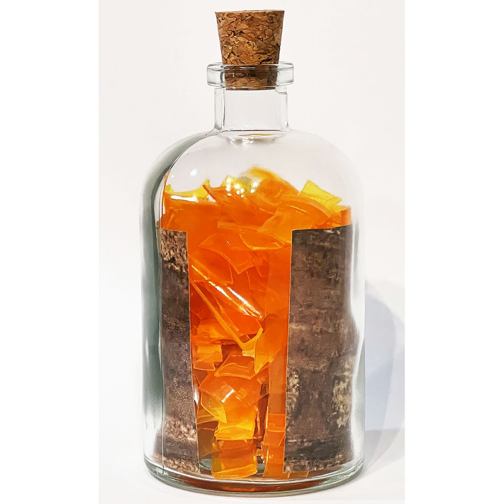 <br/>Cerro Praetorian back, 10/9/2025<br/>Apx 6½" x 3" x 3"<br/>glass, paper, ink, cork and plastic
